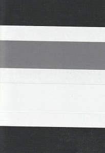Рулонные шторы день-ночь для проема Салерно, серый 2002 купить в Лосино-Петровском с доставкой